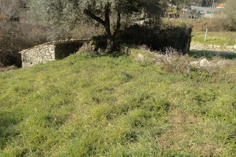 Terreno para Venda em Riba de Ancora Foto 4