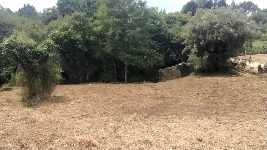 Terreno para Venda em Riba de Ancora Foto 7
