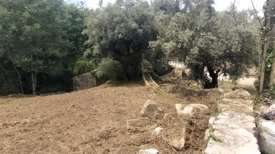 Terreno para Venda em Riba de Ancora Foto 8