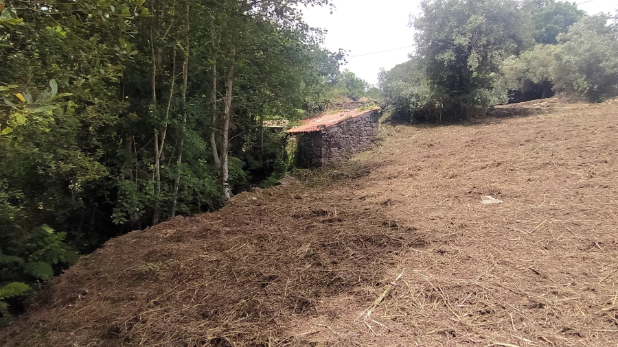Terreno para Venda em Riba de Ancora Foto 9