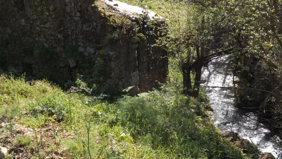 Terreno para Venda em Riba de Ancora Foto 5