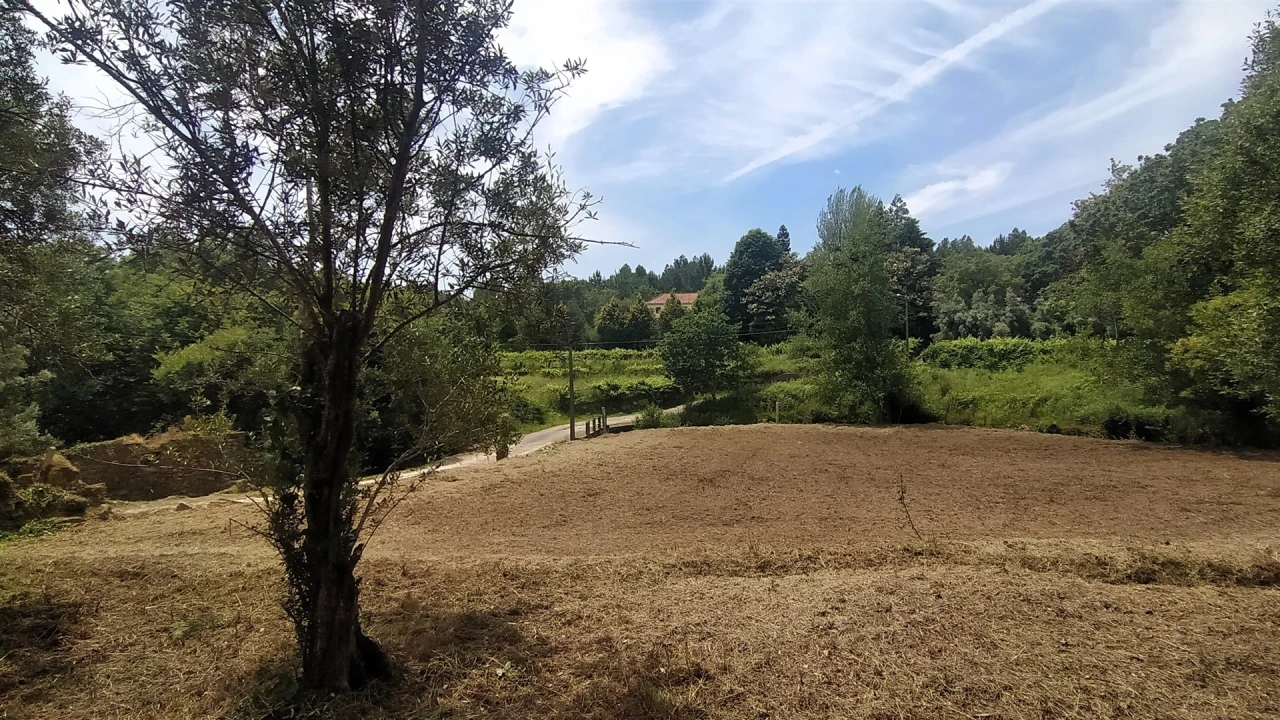 Terreno para Venda em Riba de Ancora Foto 1