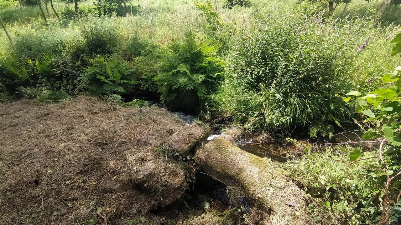 Terreno para Venda em Riba de Ancora Foto 12