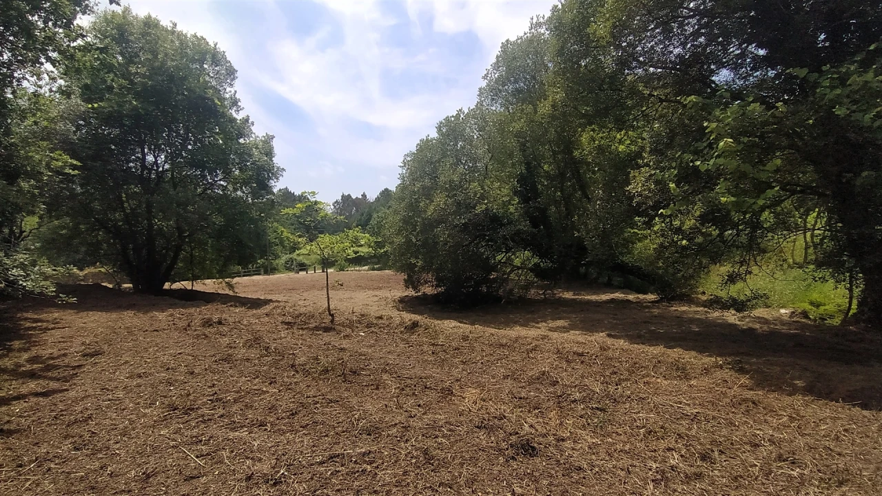 Terreno para Venda em Riba de Ancora Foto 11