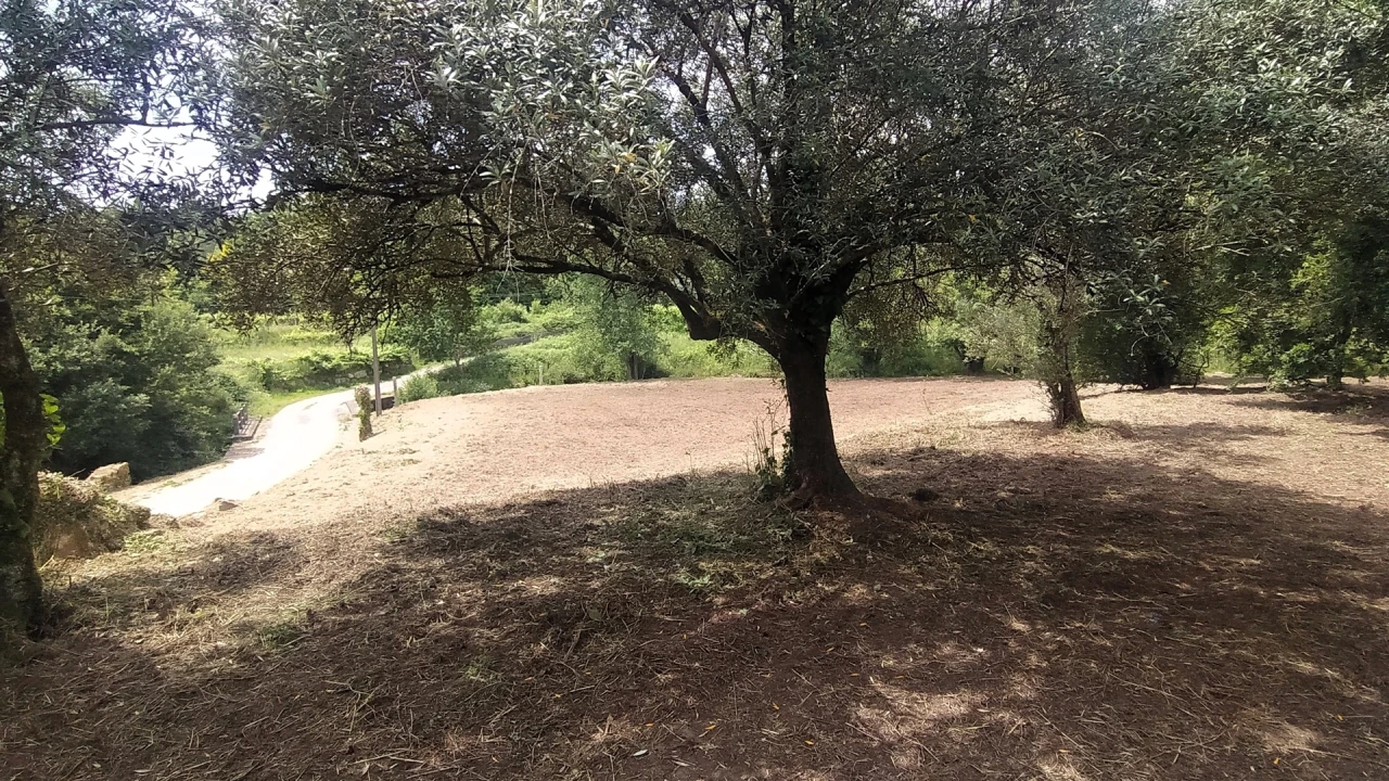 Terreno para Venda em Riba de Ancora Foto 8