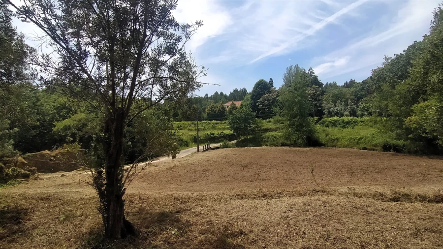 Terreno para Venda em Riba de Ancora Foto 1