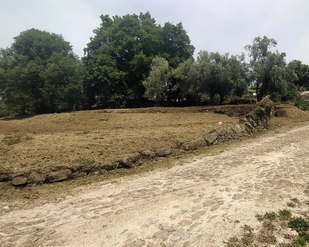 Terreno para Venda em Riba de Ancora Foto 6