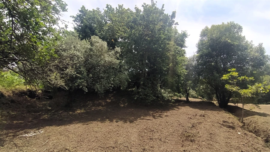 Terreno para Venda em Riba de Ancora Foto 10