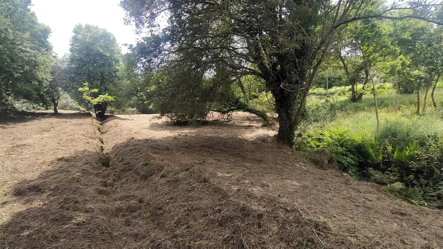 Terreno para Venda em Riba de Ancora Foto 13