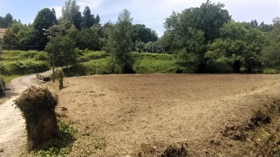 Terreno para Venda em Riba de Ancora Foto 7