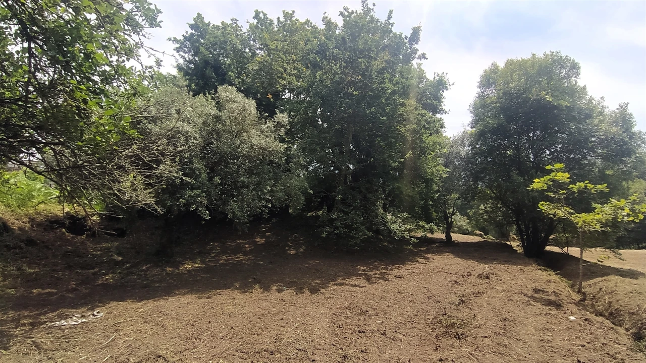 Terreno para Venda em Riba de Ancora Foto 10