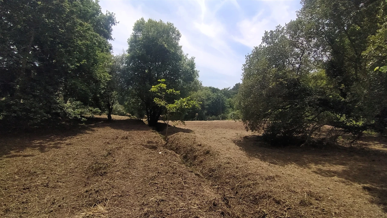 Terreno para Venda em Riba de Ancora Foto 9