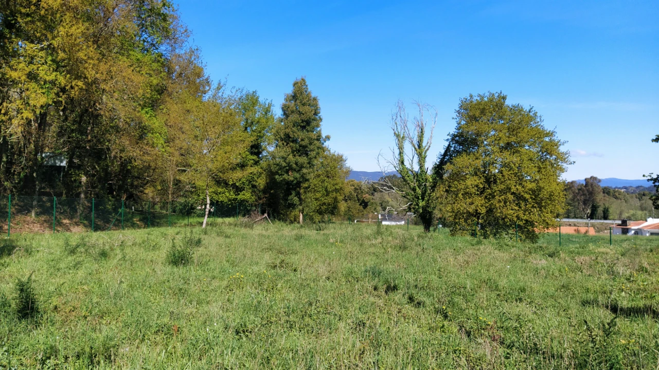 Terreno para Venda em Gondarem Foto 5