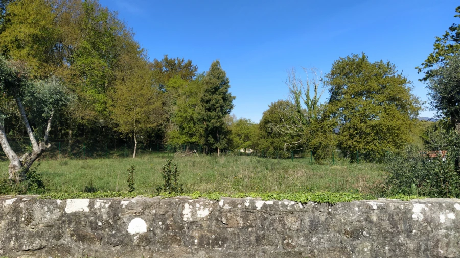 Terreno para Venda em Gondarem Foto 7