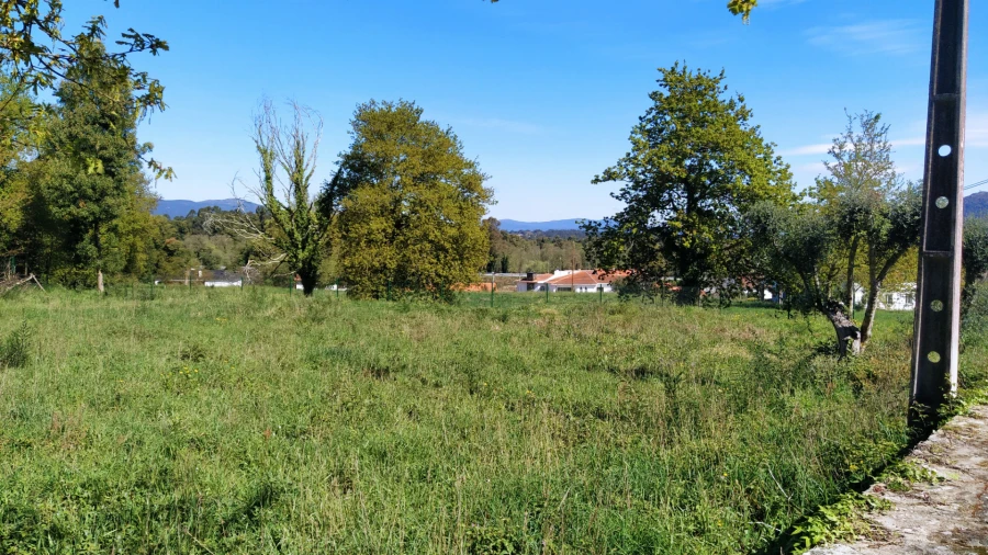 Terreno para Venda em Gondarem Foto 6