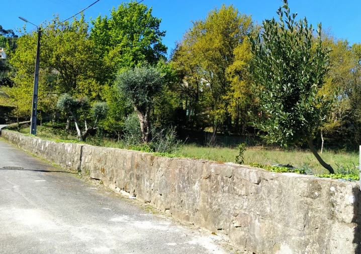Terreno para Venda em Gondarem