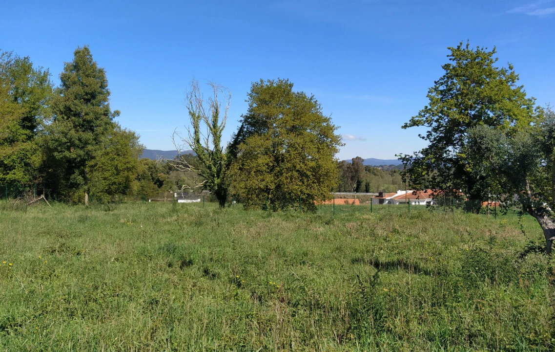 Terreno para Venda em Gondarem Foto 4
