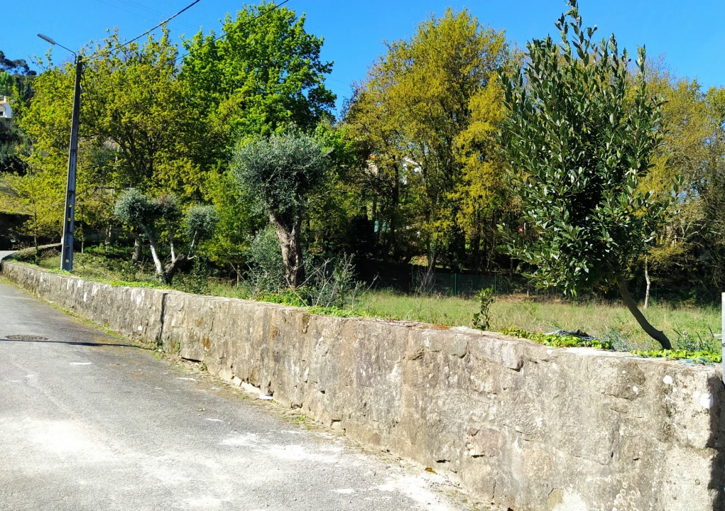 Terreno para Venda em Gondarem Foto 1