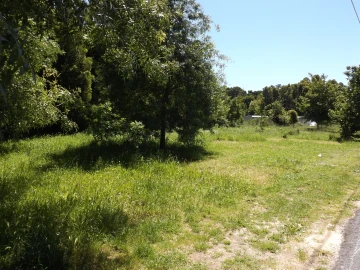 Terreno para Venda em Moledo e Cristelo
