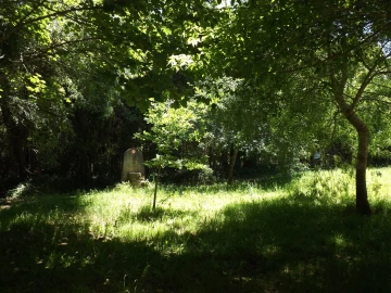 Terreno para Venda em Moledo e Cristelo