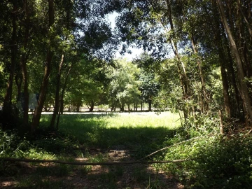 Terreno para Venda em Moledo e Cristelo