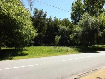 Terreno para Venda em Moledo e Cristelo