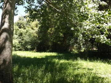 Terreno para Venda em Moledo e Cristelo