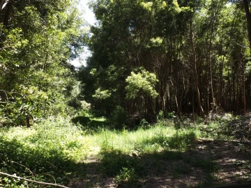 Terreno para Venda em Moledo e Cristelo