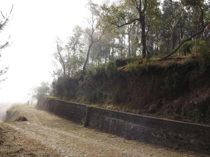 Terreno para Venda em Candemil e Gondar Foto 6