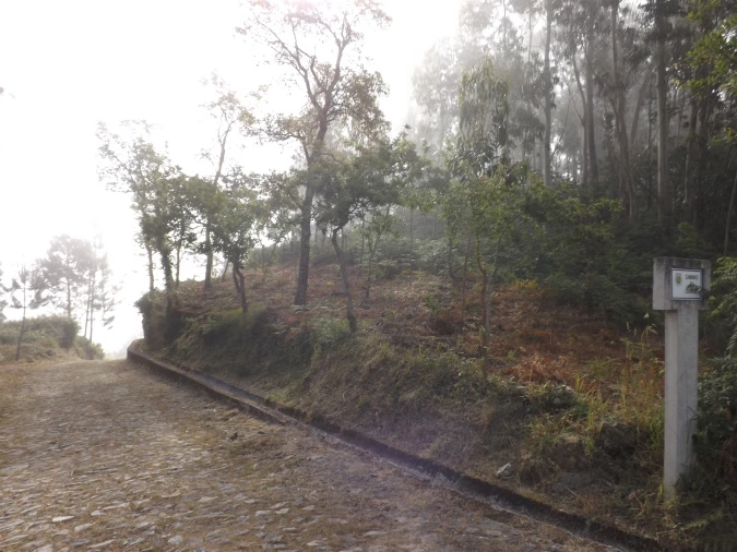 Terreno para Venda em Candemil e Gondar Foto 5