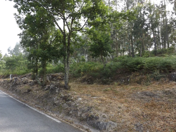 Terreno para Venda em Candemil e Gondar Foto 10