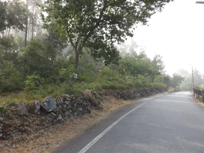Terreno para Venda em Candemil e Gondar Foto 7