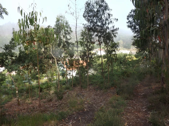 Terreno para Venda em Candemil e Gondar Foto 11