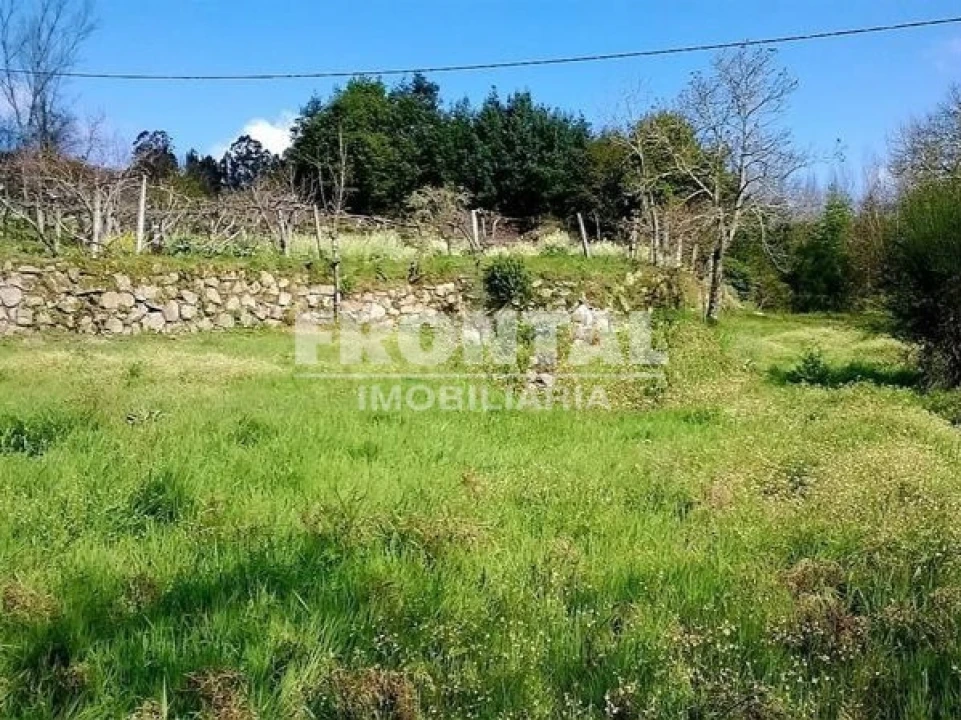 Terreno Agricola ou Rústico para Venda em Luzim e Vila Cova Foto 7
