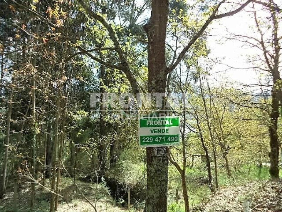 Terreno Agricola ou Rústico para Venda em Luzim e Vila Cova Foto 5