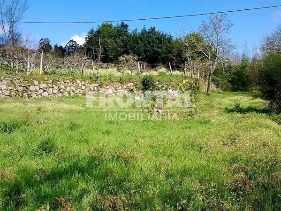 Terreno Agricola ou Rústico para Venda em Luzim e Vila Cova Foto 7