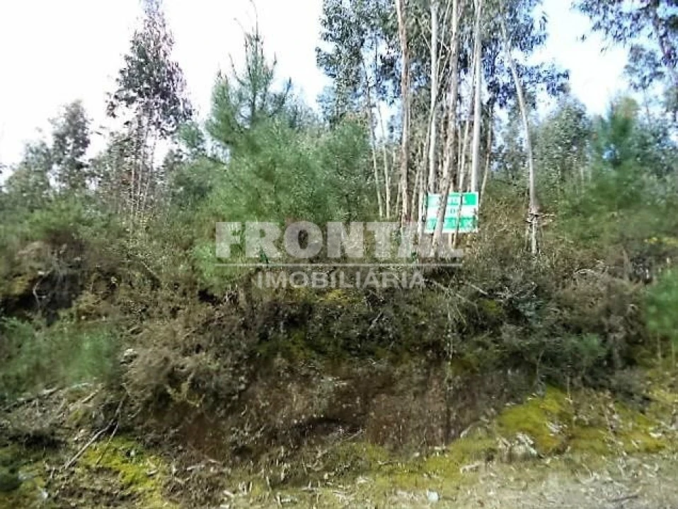 Terreno Agricola ou Rústico para Venda em Luzim e Vila Cova Foto 8