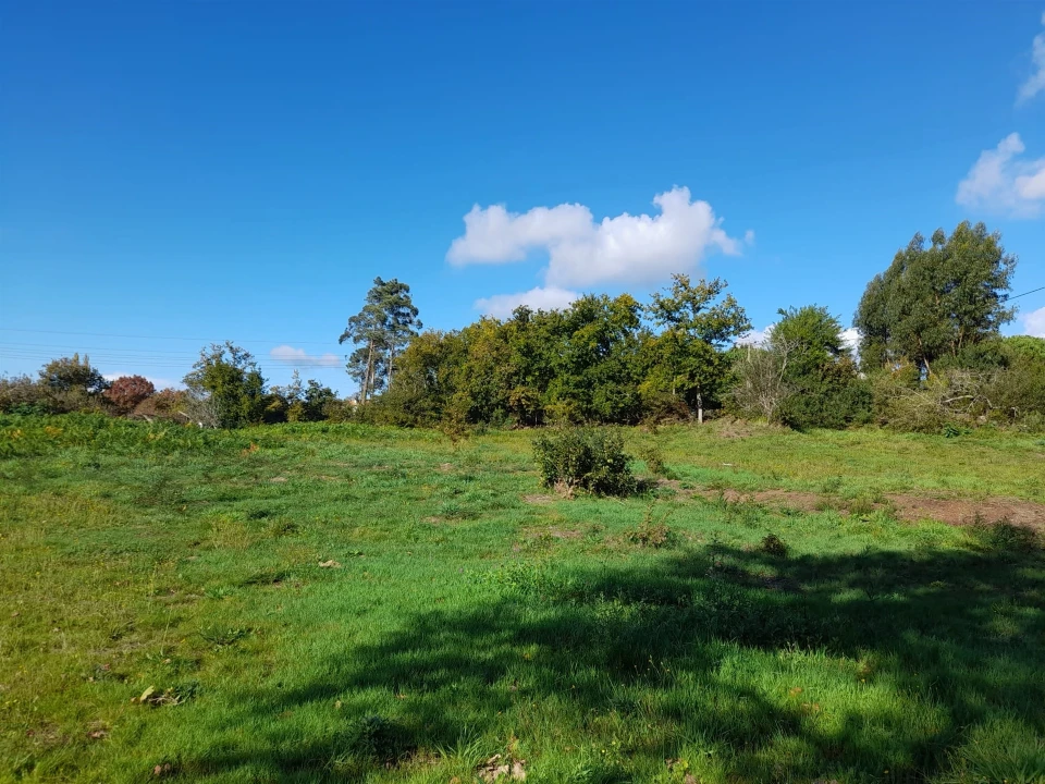Terreno para Venda em Seixas Foto 8