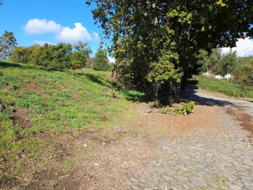 Terreno para Venda em Seixas
