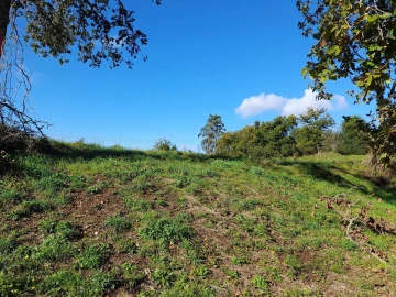 Terreno para Venda em Seixas