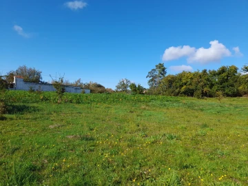 Terreno para Venda em Seixas