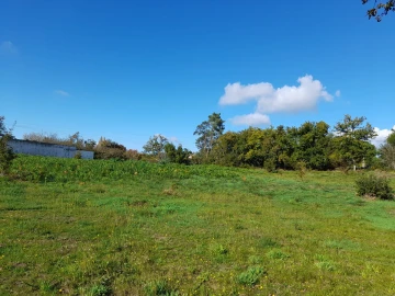 Terreno para Venda em Seixas