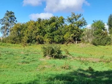 Terreno para Venda em Seixas