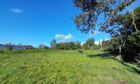 Terreno para Venda em Seixas