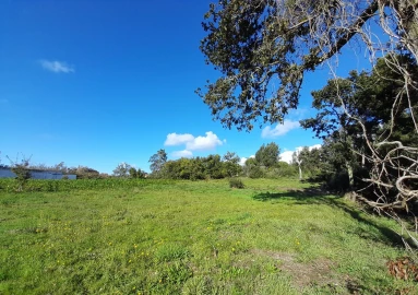 Terreno para Venda em Seixas
