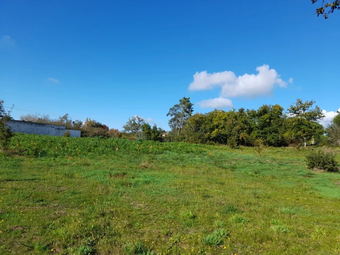 Terreno para Venda em Seixas Foto 9
