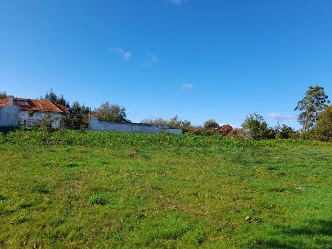 Terreno para Venda em Seixas Foto 7