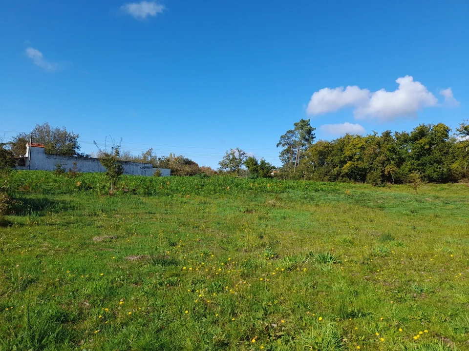 Terreno para Venda em Seixas Foto 5