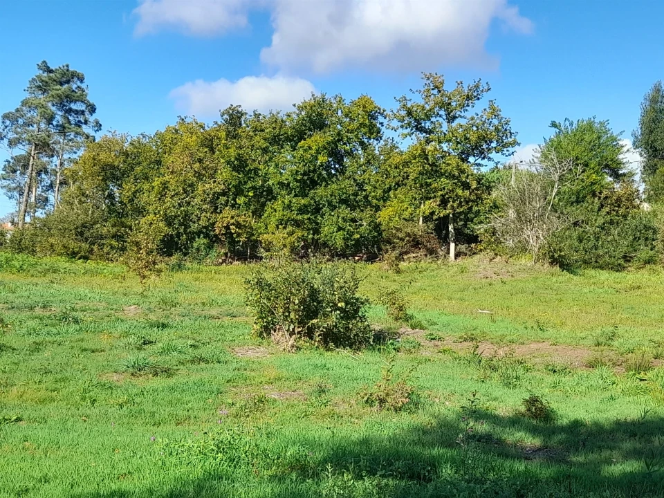 Terreno para Venda em Seixas Foto 6