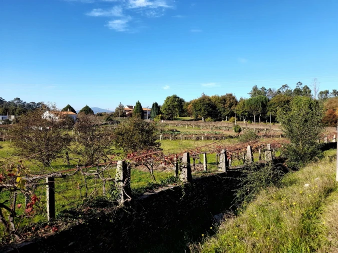 Moradia T5 para Venda em Venade e Azevedo Foto 3